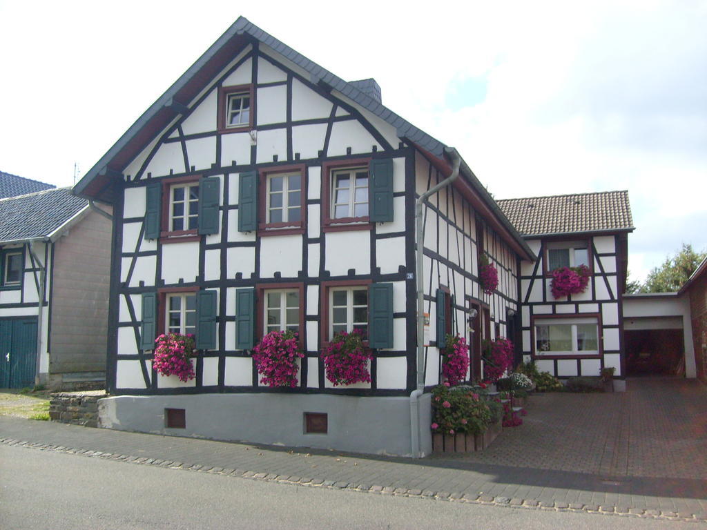 Ferienwohnung Durbaum Schleiden Buitenkant foto